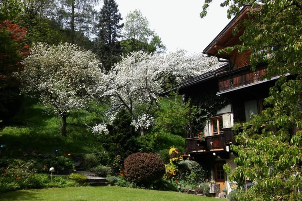 Haus Weidmannsheil - Wohnen Im Romantischen Forsthaus Werfen Eksteriør bilde
