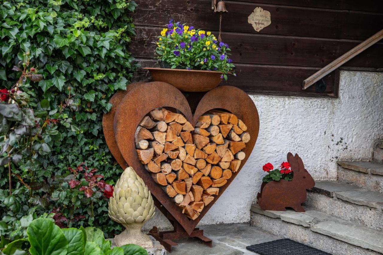 Haus Weidmannsheil - Wohnen Im Romantischen Forsthaus Werfen Eksteriør bilde